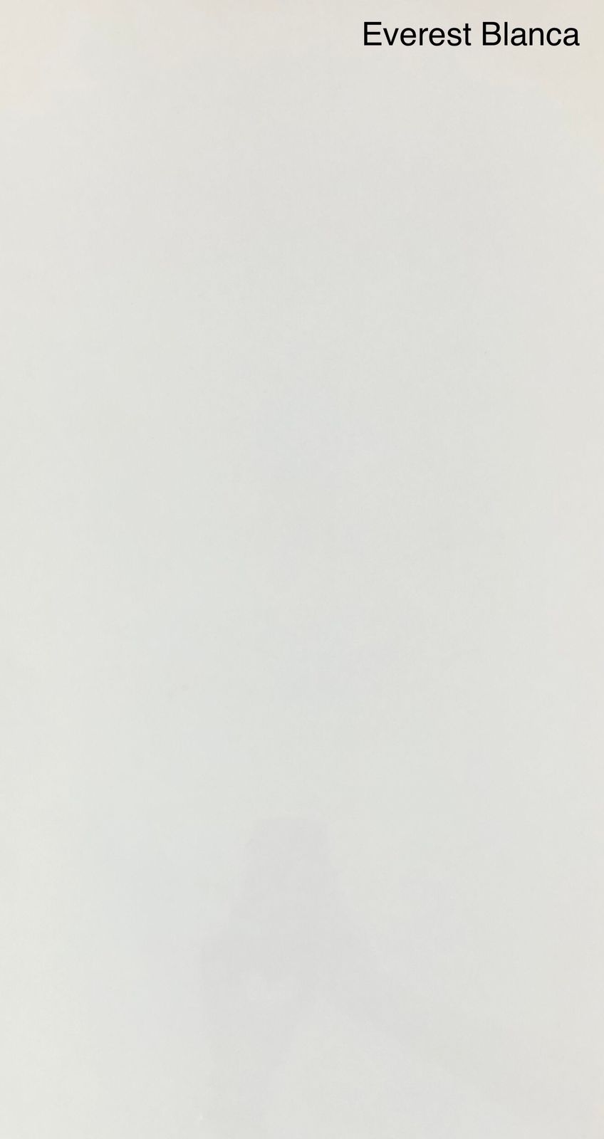 JR PARED EVEREST BLANCO 36000 30X60 MG.C